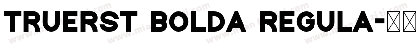 TrueRST BoldA Regula字体转换